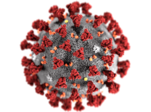 disinfezione virus